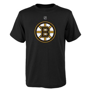 Pánské Tričko Boston Bruins Team Logo 113811